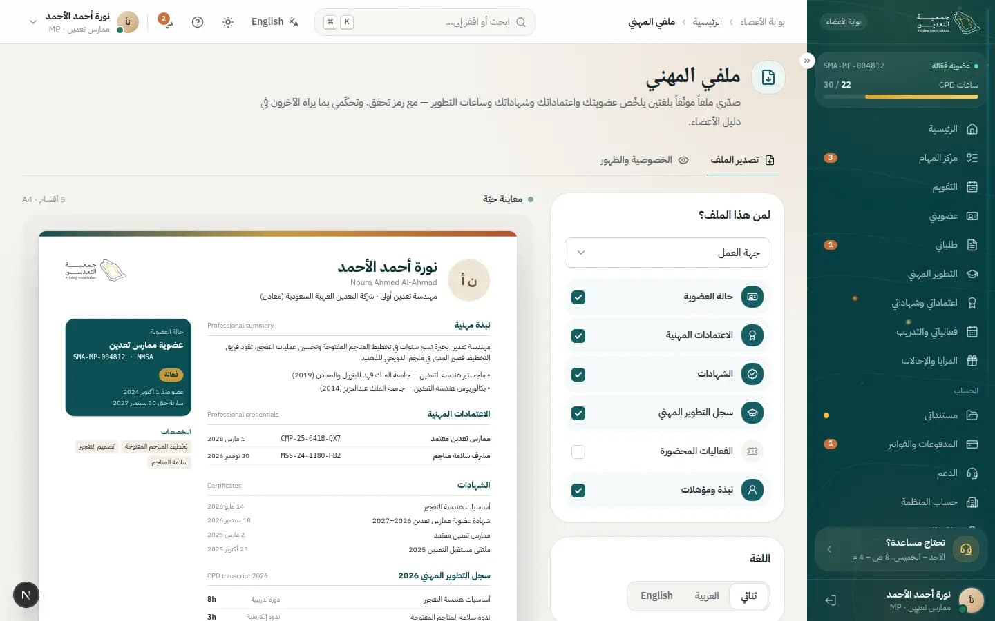 Screenshot: Professional portfolio