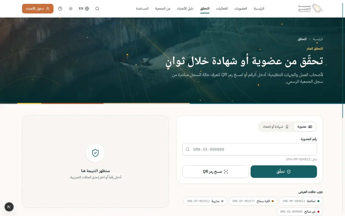 التحقق العام